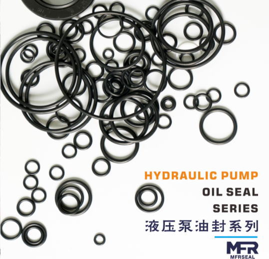 Һѹͷ HYDRAULIC PUMP SEAL KIT 